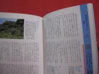 沖縄 　 琉球王国ぶらぶらぁ散歩　　  沖縄の魂に触れる　　  こんな沖縄、知らなかった！    　　おおき・ゆうこう  　田名真之　 著    　　新潮社 　発行  　　　　     【沖縄・琉球・歴史・文化】