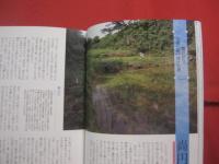 沖縄 　 琉球王国ぶらぶらぁ散歩　　  沖縄の魂に触れる　　  こんな沖縄、知らなかった！    　　おおき・ゆうこう  　田名真之　 著    　　新潮社 　発行  　　　　     【沖縄・琉球・歴史・文化】