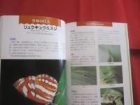 琉球列島のチョウたち  　　～ 　南の邦はチョウ天国　 ～ 　　   ［　 琉球列島の昆虫シリーズ２ 　］     　　　　   【沖縄・自然・昆虫・蝶】