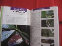 琉球列島のチョウたち  　　～ 　南の邦はチョウ天国　 ～ 　　   ［　 琉球列島の昆虫シリーズ２ 　］     　　　　   【沖縄・自然・昆虫・蝶】