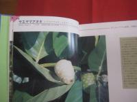 熱帯の果実      　　性状 ・ 栽培 ・ 利用法とエピソード     　　   小島 裕　   著     　　新星図書出版　 発行     　　 ＴＨＥ  　ＴＲＯＰＩＣＡＬ  　ＦＲＵＩＴ       　　　　　           【沖縄・琉球・自然・生物・植物・果樹・フルーツ・くだもの】