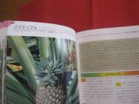 熱帯の果実      　　性状 ・ 栽培 ・ 利用法とエピソード     　　   小島 裕　   著     　　新星図書出版　 発行     　　 ＴＨＥ  　ＴＲＯＰＩＣＡＬ  　ＦＲＵＩＴ       　　　　　           【沖縄・琉球・自然・生物・植物・果樹・フルーツ・くだもの】