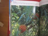 熱帯の果実      　　性状 ・ 栽培 ・ 利用法とエピソード     　　   小島 裕　   著     　　新星図書出版　 発行     　　 ＴＨＥ  　ＴＲＯＰＩＣＡＬ  　ＦＲＵＩＴ       　　　　　           【沖縄・琉球・自然・生物・植物・果樹・フルーツ・くだもの】