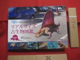 リアルサイズ古生物図鑑  　　  古生代編   　　 ＲＥＡＬ  ＳＩＺＥ  古生物のサイズが実感できる！ 　　   群馬県立自然史博物館 　 監修    　　土屋 健　  著  　　  技術評論社　  発行    　　　　  【自然・動物・知識】