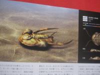 リアルサイズ古生物図鑑  　　  古生代編   　　 ＲＥＡＬ  ＳＩＺＥ  古生物のサイズが実感できる！ 　　   群馬県立自然史博物館 　 監修    　　土屋 健　  著  　　  技術評論社　  発行    　　　　  【自然・動物・知識】