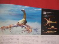 リアルサイズ古生物図鑑  　　  古生代編   　　 ＲＥＡＬ  ＳＩＺＥ  古生物のサイズが実感できる！ 　　   群馬県立自然史博物館 　 監修    　　土屋 健　  著  　　  技術評論社　  発行    　　　　  【自然・動物・知識】
