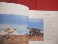 写真家だけが知っている　　    動物たちの物語 　　    世界一の動物写真賞　 ワイルドライフ・フォトグラファー・オブ・ザ・イヤー 受賞作品集   　　　　   【自然・生物・写真集】