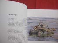 写真家だけが知っている　　    動物たちの物語 　　    世界一の動物写真賞　 ワイルドライフ・フォトグラファー・オブ・ザ・イヤー 受賞作品集   　　　　   【自然・生物・写真集】