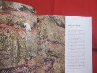 写真家だけが知っている　　    動物たちの物語 　　    世界一の動物写真賞　 ワイルドライフ・フォトグラファー・オブ・ザ・イヤー 受賞作品集   　　　　   【自然・生物・写真集】