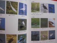 沖縄の野鳥観察    　　シリーズ沖縄の自然　 １３  　　  与那城 義春  　著    　　新星図書出版　  発行 　　　　    【沖縄・琉球・生物・動物・鳥類】