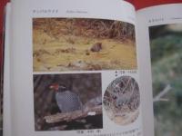 沖縄の野鳥観察    　　シリーズ沖縄の自然　 １３  　　  与那城 義春  　著    　　新星図書出版　  発行 　　　　    【沖縄・琉球・生物・動物・鳥類】