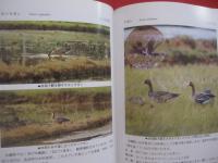 沖縄の野鳥観察    　　シリーズ沖縄の自然　 １３  　　  与那城 義春  　著    　　新星図書出版　  発行 　　　　    【沖縄・琉球・生物・動物・鳥類】