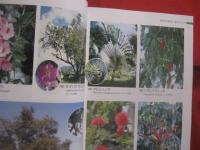 熱帯の植物を訪ねて　　    フィリピンへの旅の記録　　    ＴＲＯＰＩＣＡＬ 　　 ＰＬＡＮＴＳ 　　 ＩＮ  　　ＴＨＥ  　　ＰＨＩＬＩＰＰＩＮＥＳ 　　 Ｍｅｍｏｒｉｅｓ  　　ｏｆ  　　ａ  　　ｆｒｉｅｎｄｓｈｉｐ    　　土屋　 幹夫  　　土屋たづ子　 著   　　　　    【自然・生物・熱帯植物・図鑑】