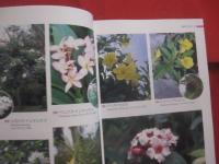 熱帯の植物を訪ねて　　    フィリピンへの旅の記録　　    ＴＲＯＰＩＣＡＬ 　　 ＰＬＡＮＴＳ 　　 ＩＮ  　　ＴＨＥ  　　ＰＨＩＬＩＰＰＩＮＥＳ 　　 Ｍｅｍｏｒｉｅｓ  　　ｏｆ  　　ａ  　　ｆｒｉｅｎｄｓｈｉｐ    　　土屋　 幹夫  　　土屋たづ子　 著   　　　　    【自然・生物・熱帯植物・図鑑】