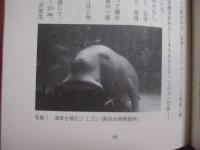 沖縄のジュゴン 　　   民族考古学からの視座    　　古代から続くジュゴンと人々の生活とのつながりを発掘成果をもとに明らかにする。    　　盛本 　勲 　著     　　　　  【沖縄・琉球・歴史・文化・海洋生物・動物】