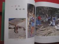 聖なる島　  奄美  　　西田テル子写真集    　　監修・解説　 山下欣一 　　   星企画 　発行  　　　　  【奄美・沖縄・琉球・歴史・民俗・文化・自然】