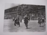 熊谷元一 　　   日本の写真家  　 １７    　　岩波書店　 発行　　　　        【写真集・自然・風景・人物・アート写真集】　