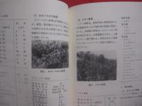 県立博物館    　　総合調査報告書 　 Ⅴ  　　  瀬底島　 （　 せそこじま　 ）   　　 １９８８ 　  　  沖縄県立博物館         　　　　   【沖縄・琉球・歴史・文化・離島】