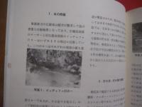 県立博物館    　　総合調査報告書 　 Ⅴ  　　  瀬底島　 （　 せそこじま　 ）   　　 １９８８ 　  　  沖縄県立博物館         　　　　   【沖縄・琉球・歴史・文化・離島】