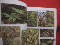 フィールド版 　　 日本の野生植物　　  草本　　  　　ＷＩＬＤ　 　 ＦＬＯＷＥＲＳ 　　 ＯＦ 　　 ＪＡＰＡＮ 　　 定価　 ７，８００円＋税　　   平凡社 　発行　　　　      【生物・図鑑・知識】
