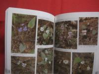 フィールド版 　　 日本の野生植物　　  草本　　  　　ＷＩＬＤ　 　 ＦＬＯＷＥＲＳ 　　 ＯＦ 　　 ＪＡＰＡＮ 　　 定価　 ７，８００円＋税　　   平凡社 　発行　　　　      【生物・図鑑・知識】