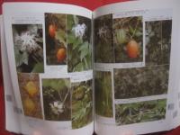 フィールド版 　　 日本の野生植物　　  草本　　  　　ＷＩＬＤ　 　 ＦＬＯＷＥＲＳ 　　 ＯＦ 　　 ＪＡＰＡＮ 　　 定価　 ７，８００円＋税　　   平凡社 　発行　　　　      【生物・図鑑・知識】