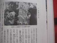 出雲大社   　　 第８２代『国造』の宮司が明かす古代出雲と出雲大社の謎！　　    千家尊統（第八十二代 出雲国造）　  著  　　  学生社　  発行 　　　　     【歴史・信教・神道・神社】