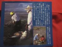 魚わく海・白保　　    小橋川共男写真報告・２ 　　   なんでですね、この海に空港をつくるんですか    　　　　    【沖縄・琉球・歴史・文化・写真集・離島・先島諸島】