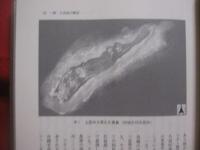 歴史のなかの久高島   　　 家・門中と祭祀世界    　　考古民俗叢書    　　赤嶺政信  　著  　　  慶友社　  発行  　　　　    【沖縄・琉球・歴史・文化・祖先崇拝・離島】