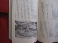 沖縄の犯科帳   　　 比嘉春潮  　崎浜秀明　  編訳    　　平凡社　  発行      　　        【沖縄・琉球・歴史・文化・平等所・裁判・判決・風俗・慣習】