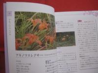 琉球薬草誌    　　  下地  清吉 （ ウコンマイスター ）　  著      　　沖縄長生薬草本社 　 編    　　  琉球書房 　 発行       　　     【沖縄・琉球・歴史・文化・自然・植物・健康・薬効・知識】