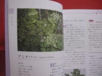 琉球薬草誌    　　  下地  清吉 （ ウコンマイスター ）　  著      　　沖縄長生薬草本社 　 編    　　  琉球書房 　 発行       　　     【沖縄・琉球・歴史・文化・自然・植物・健康・薬効・知識】