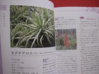 琉球薬草誌    　　  下地  清吉 （ ウコンマイスター ）　  著      　　沖縄長生薬草本社 　 編    　　  琉球書房 　 発行       　　     【沖縄・琉球・歴史・文化・自然・植物・健康・薬効・知識】