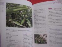 琉球薬草誌    　　  下地  清吉 （ ウコンマイスター ）　  著      　　沖縄長生薬草本社 　 編    　　  琉球書房 　 発行       　　     【沖縄・琉球・歴史・文化・自然・植物・健康・薬効・知識】