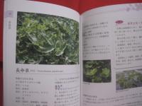 琉球薬草誌    　　  下地  清吉 （ ウコンマイスター ）　  著      　　沖縄長生薬草本社 　 編    　　  琉球書房 　 発行       　　     【沖縄・琉球・歴史・文化・自然・植物・健康・薬効・知識】