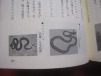 自然の示唆と人生   　　 野生からのメッセージ 　　   高良鉄夫 （ 農学博士 ）  　著    　　那覇出版  　発行 　　　　       【沖縄・琉球・自然・生物・動物】