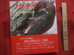 ☆国指定天然記念物 　　   ノグチゲラ  　　  ―　 その生態と生息地 　―  　　  玉城長正 中村 保  　著   　　 沖縄あき書房　  発行    　　    【沖縄・琉球・自然・生物・野鳥・キツツキ】