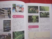 琉球列島の昆虫シリーズ　  ５     　　 オオゴマダラ自由研究     　　 ～  　夏休みの自由研究はこの１冊でＯＫ！  　～   　　  大城  安弘 　 著     　　         【沖縄・自然・生物・蝶】