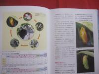 琉球列島の昆虫シリーズ　  ５     　　 オオゴマダラ自由研究     　　 ～  　夏休みの自由研究はこの１冊でＯＫ！  　～   　　  大城  安弘 　 著     　　         【沖縄・自然・生物・蝶】
