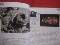 沖縄の危険生物 　　 野外活動を安全にすごすためのガイドブック    　　諸喜田 茂充　  編著　　　　沖縄出版　　発行　　　　　　      【沖縄・琉球・自然・生物・動物・有毒】