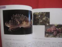 沖縄の危険生物 　　 野外活動を安全にすごすためのガイドブック    　　諸喜田 茂充　  編著　　　　沖縄出版　　発行　　　　　　      【沖縄・琉球・自然・生物・動物・有毒】