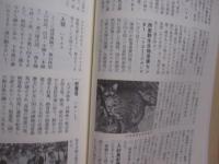 沖縄コンパクト事典  　　  琉球新報社  　編  　発行         　　　　     【沖縄・琉球・歴史・芸能・文化・自然・生物・動物・植物・雑学・知識】