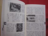 沖縄コンパクト事典  　　  琉球新報社  　編  　発行         　　　　     【沖縄・琉球・歴史・芸能・文化・自然・生物・動物・植物・雑学・知識】