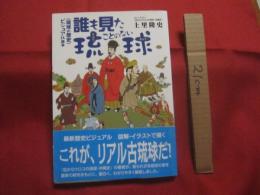 〈 琉球の歴史 〉　　 ビジュアル読本　  　誰も見たことのない琉球   　　　 上里 隆史 　著    　　　　    【沖縄・琉球・歴史・文化・知識】