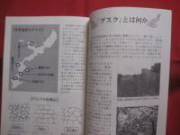 〈 琉球の歴史 〉　　 ビジュアル読本　  　誰も見たことのない琉球   　　　 上里 隆史 　著    　　　　    【沖縄・琉球・歴史・文化・知識】