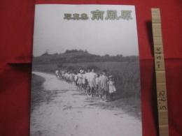 写真集 　 南風原 　　   南風原町史第１０巻　　    南風原町史編集委員会  　編集 　　   沖縄県南風原町　  発行 　　　　       【沖縄・琉球・歴史・文化】