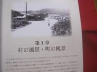 写真集 　 南風原 　　   南風原町史第１０巻　　    南風原町史編集委員会  　編集 　　   沖縄県南風原町　  発行 　　　　       【沖縄・琉球・歴史・文化】