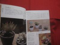 ｓｏｌ×ｓｏｌ が教える  　　    多肉植物育て方ノート    　　  監修 　 松山美紗　 ｓｏｌ×ｓｏｌ      　　河出書房新社  　 発行   　　　　      【サボテン・インテリア】