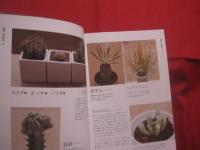 ｓｏｌ×ｓｏｌ が教える  　　    多肉植物育て方ノート    　　  監修 　 松山美紗　 ｓｏｌ×ｓｏｌ      　　河出書房新社  　 発行   　　　　      【サボテン・インテリア】