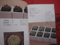 ｓｏｌ×ｓｏｌ が教える  　　    多肉植物育て方ノート    　　  監修 　 松山美紗　 ｓｏｌ×ｓｏｌ      　　河出書房新社  　 発行   　　　　      【サボテン・インテリア】